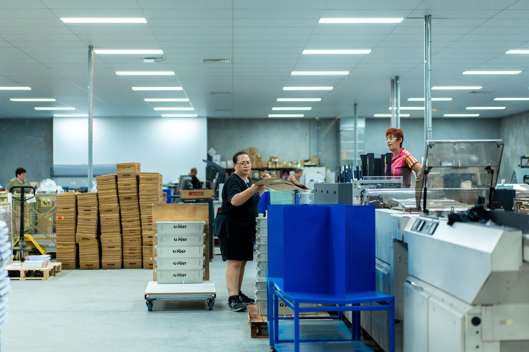Two production staff operating inserting equipment and sorting mail into Australia Post trays